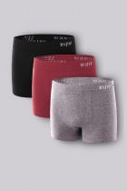 KIT COM 3 CUECAS BOXER LISA INFANTIL CORES SORTIDAS - TRIFIL