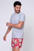 SAMBA CANÇÃO CETIM VERMELHA NATAL FAMÍLIA - ACUO