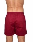 SAMBA CAN&Ccedil;&Atilde;O VINHO - MUNDO DOS PIJAMAS